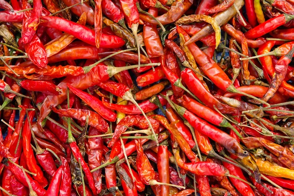 Dried Red Chilli — Stock Photo, Image