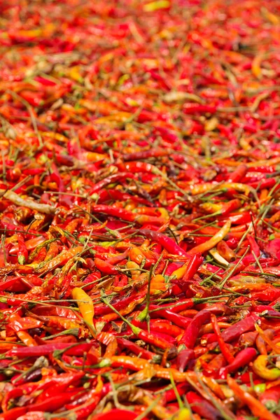 Dried Red Chilli — Stock Photo, Image