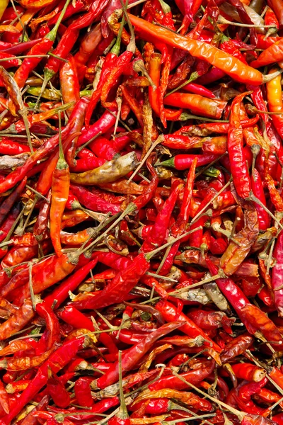 Dried Red Chilli — Stock Photo, Image