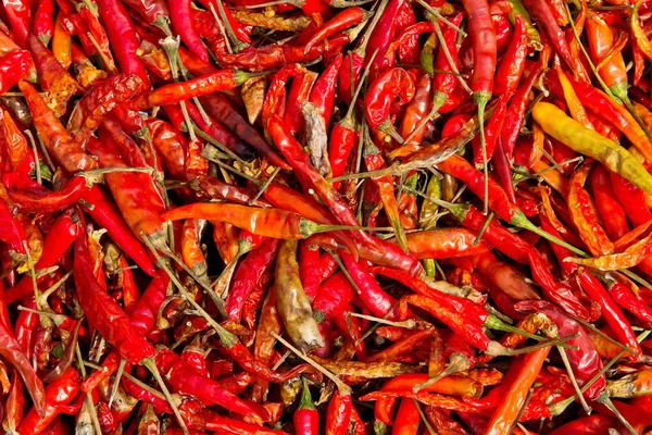 Dried Red Chilli — Stock Photo, Image