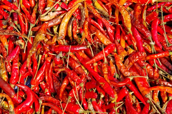 Dried Red Chilli — Stock Photo, Image