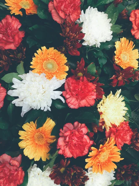 Csokor virágot háttér — Stock Fotó