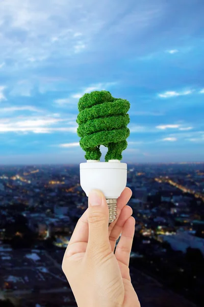 Mão segurando conceito de energia lâmpada eco — Fotografia de Stock