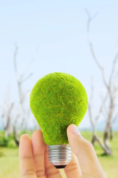 Lâmpada de luz eco — Fotografia de Stock