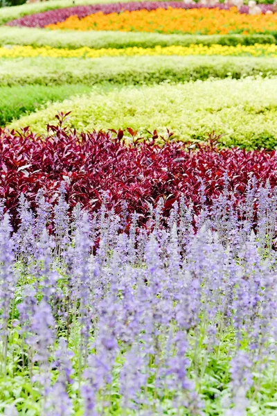 Landscaped flower garden — Stock Photo, Image