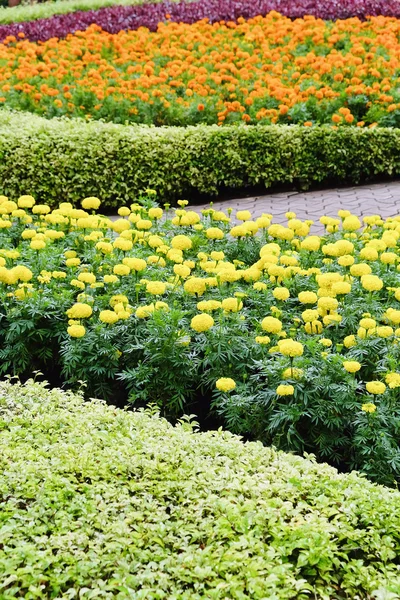 Jardín de flores de paisaje — Foto de Stock