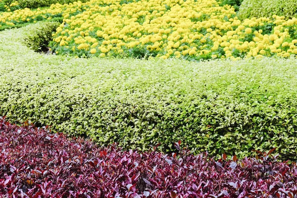 Jardín de flores de paisaje — Foto de Stock