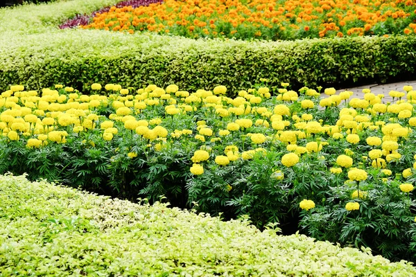 Landscaped flower garden — Stock Photo, Image