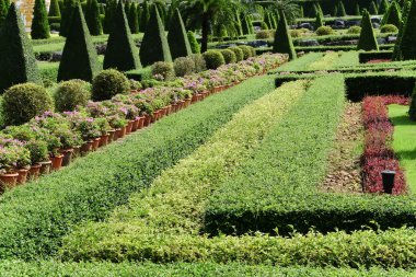 Çiçek peyzaj ile yola