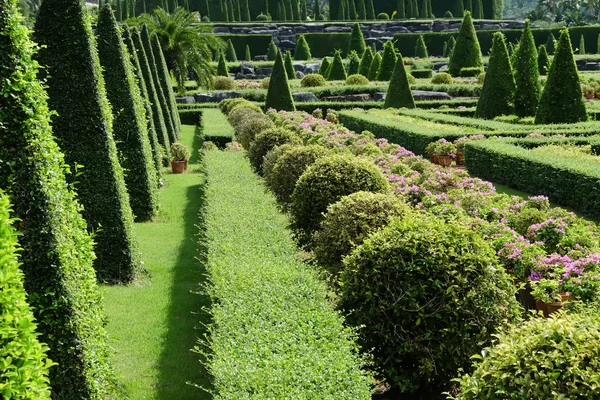 Zahradní cesta s topiary krajina — Stock fotografie