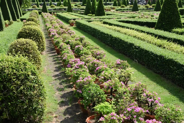 Camino del jardín con paisaje topiario — Foto de Stock