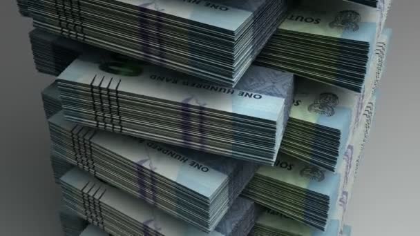 Stack of South African Rands — Stock Video