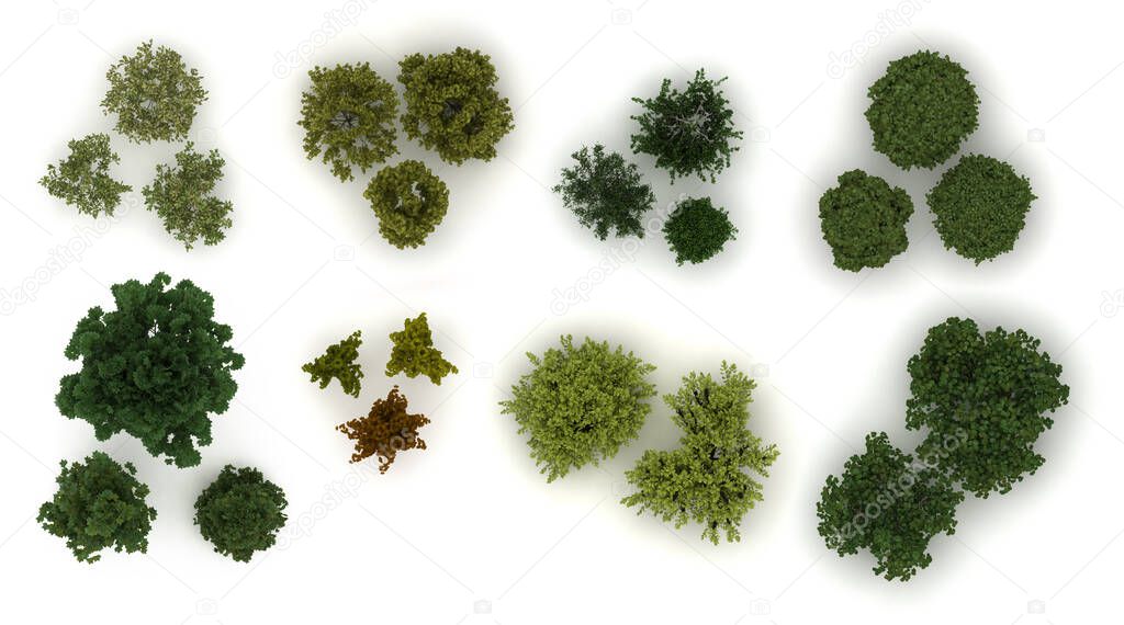 Various trees from top view on white background