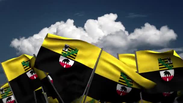 Waving Saxony Anhalt State Flags Seamless Alpha Channel — Stok Video