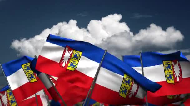 Dalgalanan Schleswig Holstein Eyalet Bayrakları Sorunsuz Alfa Kanalı — Stok video