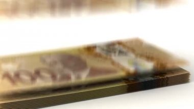 돈이 캐나다 달러