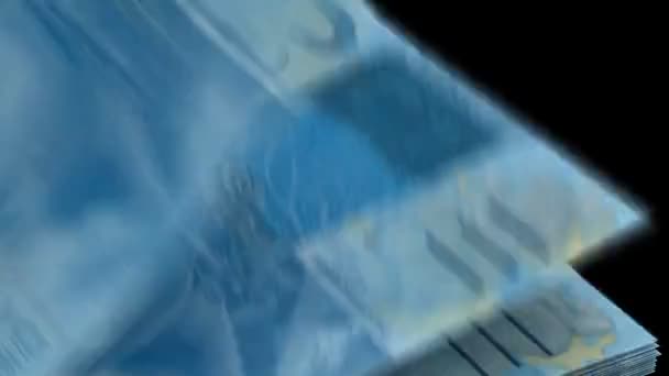 Compter le Real brésilien 