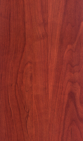 Текстура черемухи