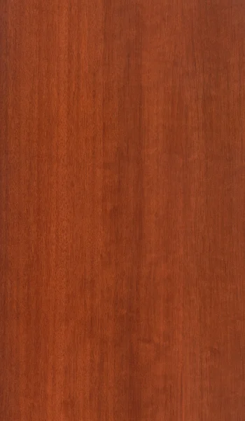 核桃木纹理 — 图库照片