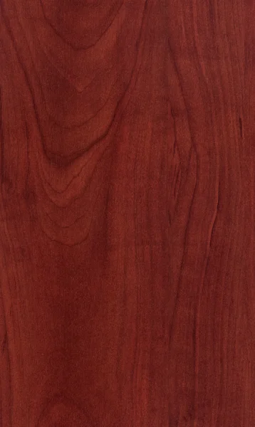 Textura madera — Foto de Stock