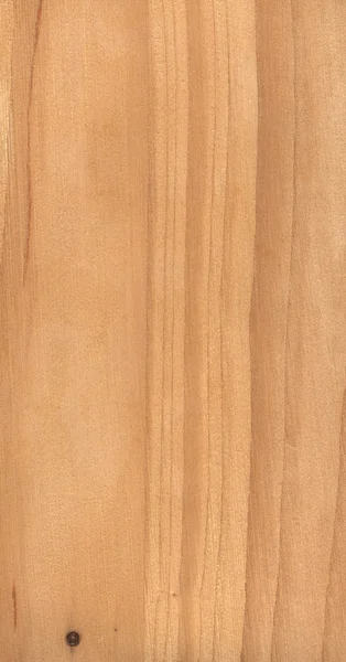Maple houtstructuur — Stockfoto