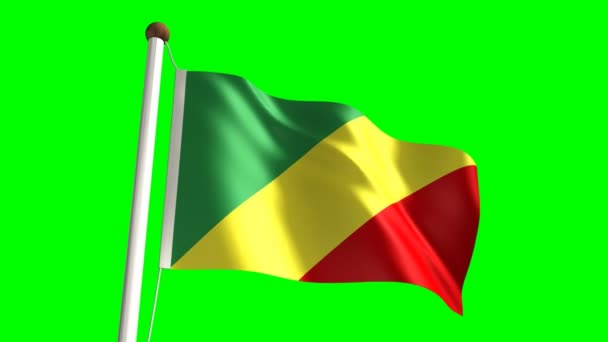 Konžské vlajka — Stock video