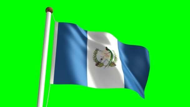 Bandera de Guatemala — Vídeos de Stock