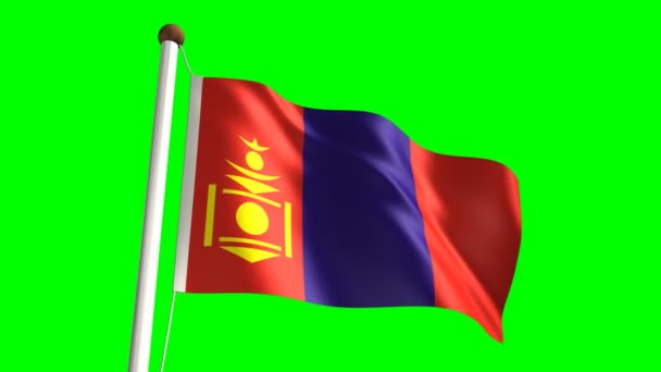 Moğolistan bayrağı — Stok video