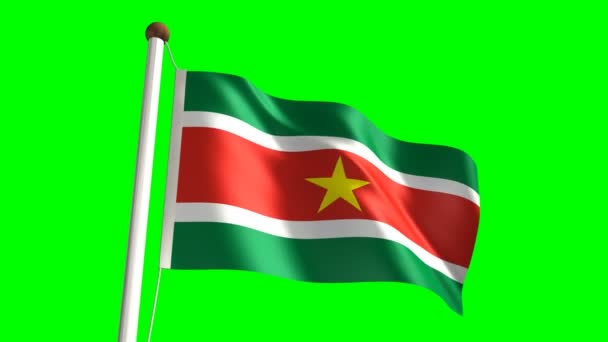 Surinamesische Flagge — Stockvideo