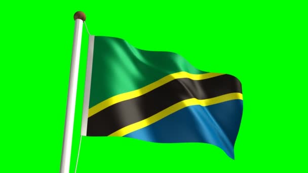 Flaga Tanzanii — Wideo stockowe