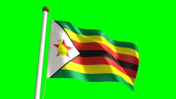 Vlajka Zimbabwe — Stock video