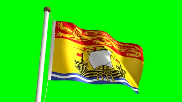 Nueva bandera de Brunswick — Vídeo de stock