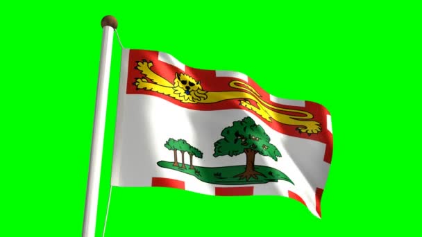 Bandera de Prince Edward Island — Vídeo de stock