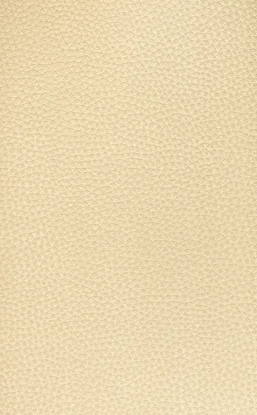 Cuero beige — Foto de Stock