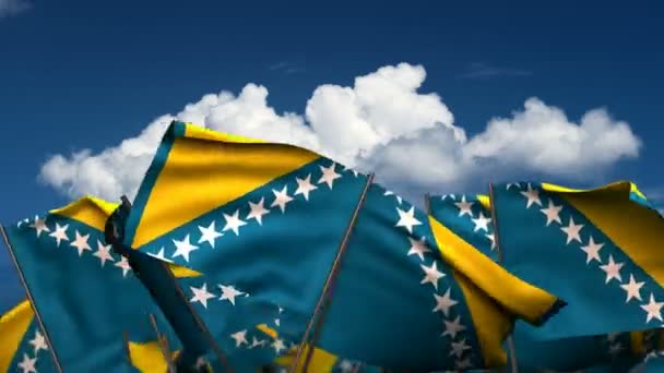 Κουνώντας Βοσνία και Herzegovinan σημαίες — Αρχείο Βίντεο