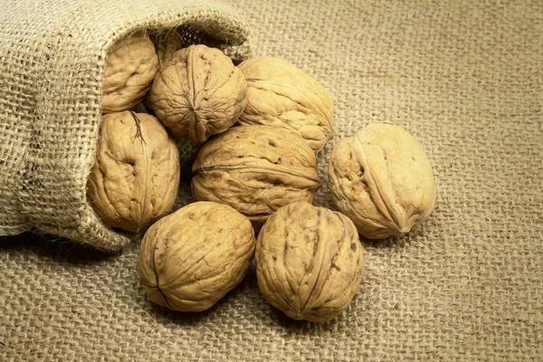 Nueces — Foto de Stock