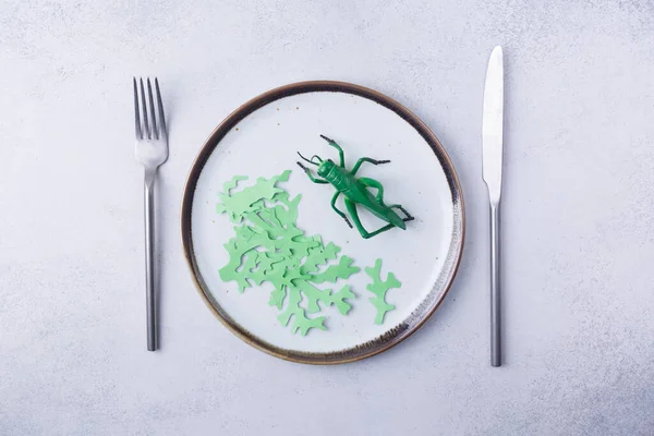 Eating crickets insect and seaweed on plate. Food Insects for eat as food items, it is good source of meal high protein edible for future food concept.