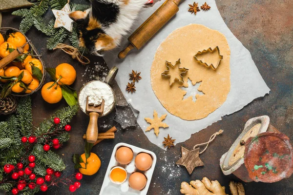 Feiertagsspeisen. Zutaten für weihnachtliche Ingwerplätzchen, kleine Bäume und Schneeflocken. Katzenkopf riecht Tanne — Stockfoto