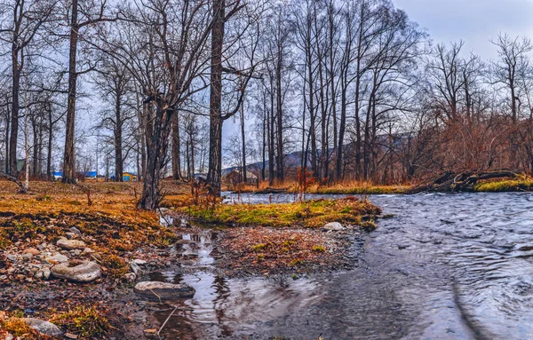 カムチャツカのエッソ村のウキちゃん川のほとりにあります カムチャツカの秋 美しい秋 — ストック写真