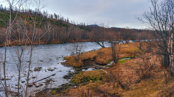 Schöner Herbst Fluss Uksichan Dorf Esso Auf Kamtschatka Herbst Oktober — Stockfoto