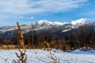 Esso köyündeki Kamçatka dağlarında kış mevsimi. Kış manzarası. çimen ve kar.