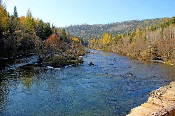 Paysage Automnal Rivière Montagne Rapide Coule Entre Les Collines Boisées — Photo