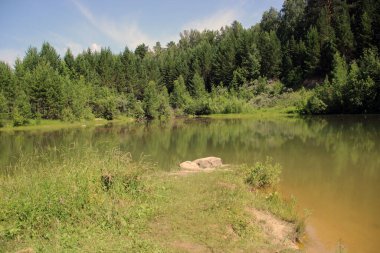 Su yüzeyinin altındaki vahşi bir ormanın güzel manzarası sarıdan yeşile boyanmış..