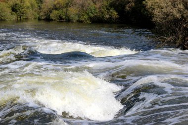 Dağ nehri taşların üzerinde köpürüyor ve köpürüyor.