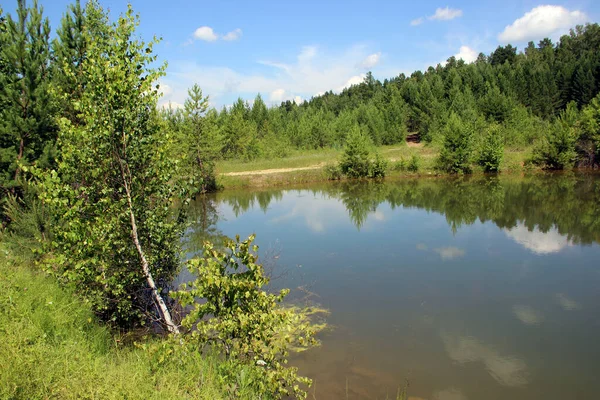 Reflet Des Nuages Dans Petit Étang Verdure Autour Paysage Estival — Photo