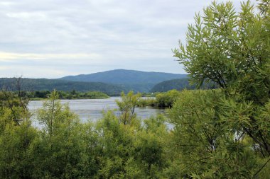 Çalılıkların arasından inanılmaz bir manzara açılır. - Evet. Nehir ormanlık tepelerin arasından akar..
