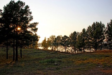 Günbatımında sonbahar manzarası. Bir gölet, bulutsuz bir gökyüzü ve kozalaklı ağaçların dallarından doğan güneş..