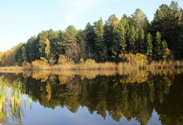 Der Stillen Wasseroberfläche Des Erstaunlichen Sees Spiegeln Sich Bäume Und — Stockfoto