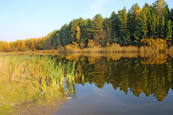 Неподвижной Поверхности Воды Удивительного Озера Деревья Небо Отражаются Зеркале — стоковое фото