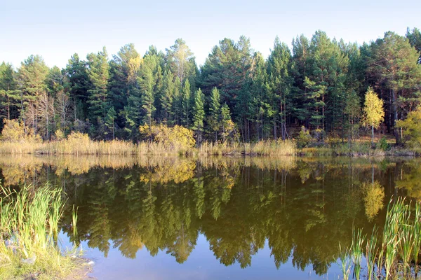 Der Stillen Wasseroberfläche Des Erstaunlichen Sees Spiegeln Sich Bäume Und — Stockfoto